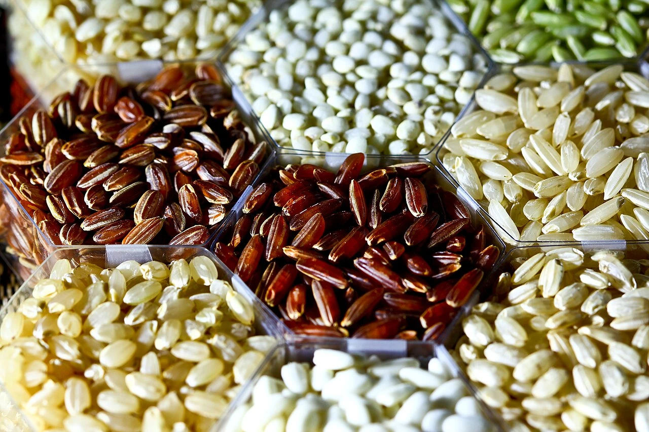 Rice grains: a present-day ingredient photograph illustrating the base of palov.
