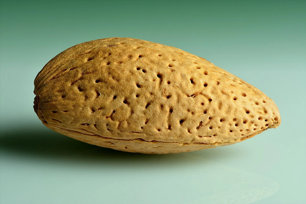 Almonds: an ingredient of almond halva, not a photograph of the prepared dessert.