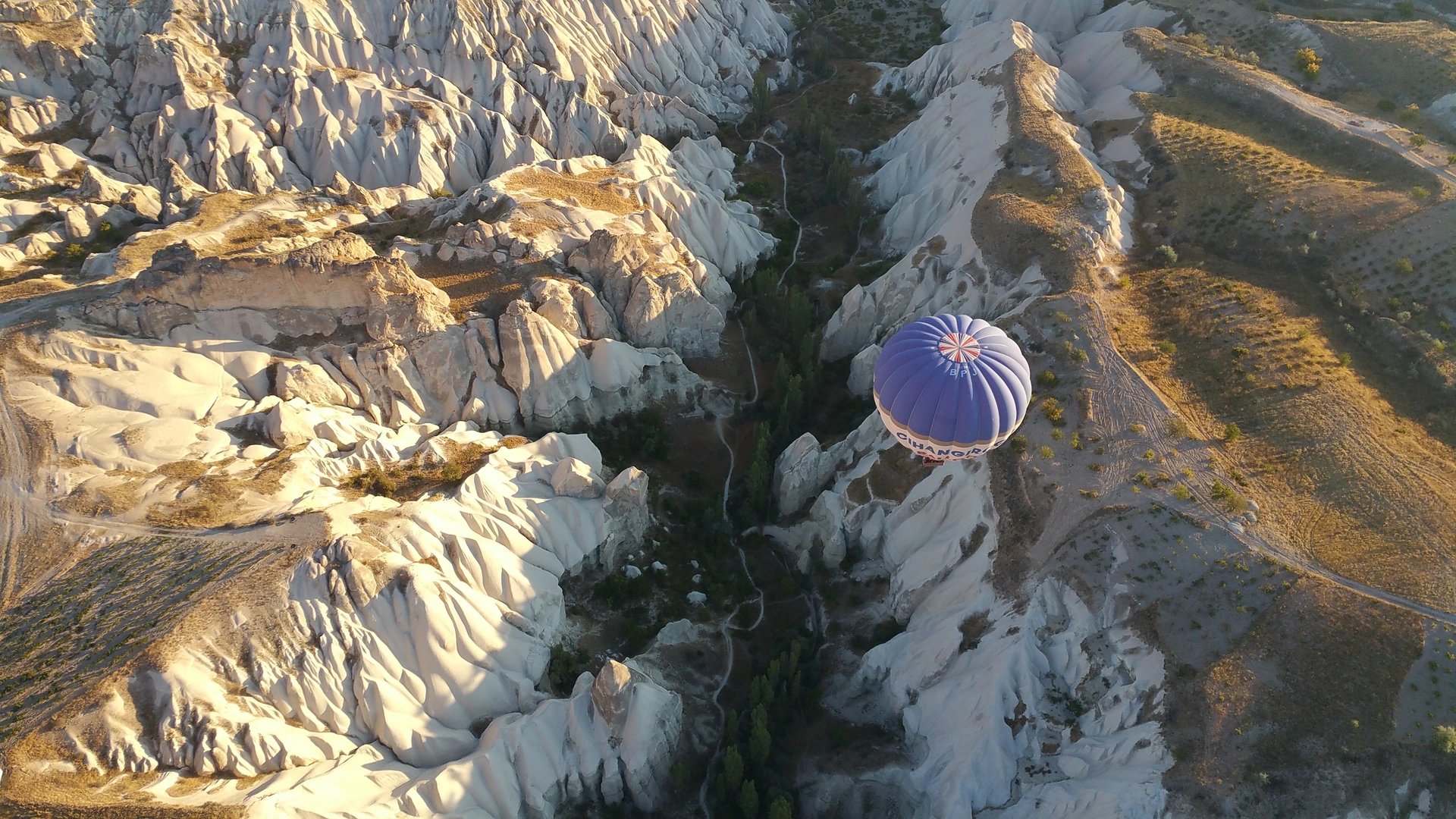 Rock formations and a balloon seen from above Göreme.